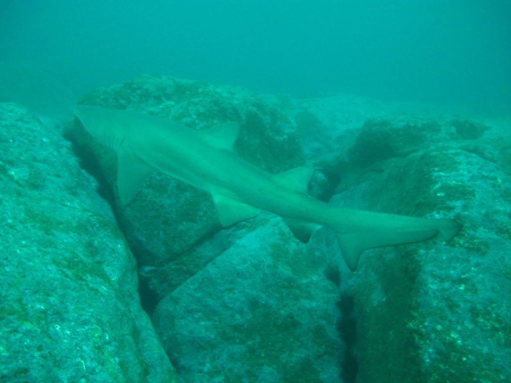 376c7ce7-93d2-4da0-ac74-0229d572893b