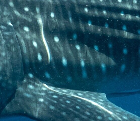 167f89c4-5970-4c21-9551-419607a98500