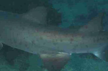 1a6be892-b5e7-4c98-b9ce-8b2f655b8336