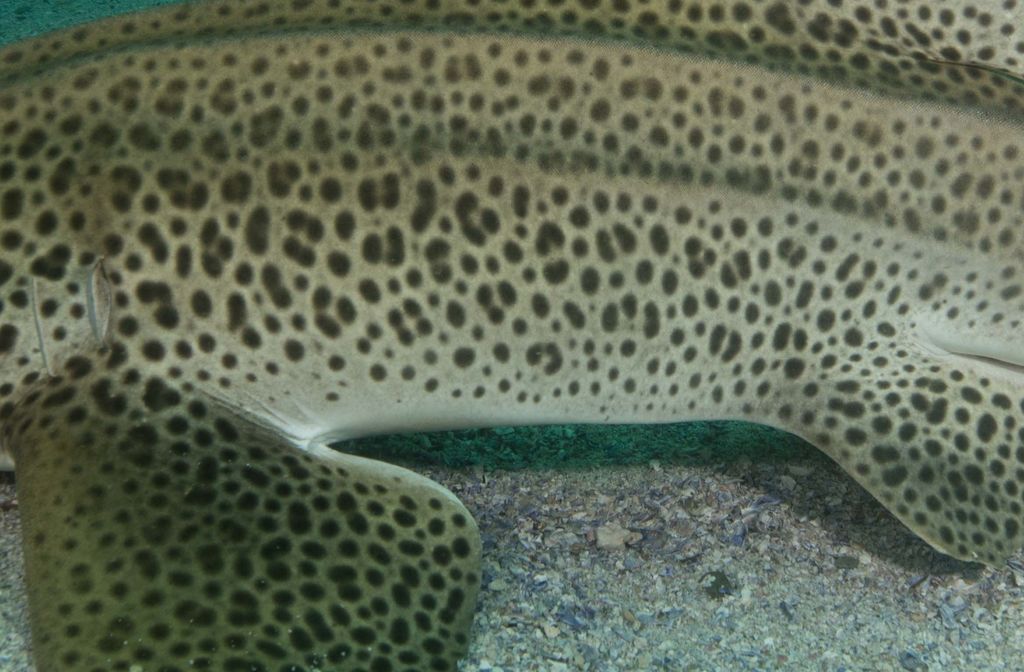 3844dabb-bcab-4cea-a690-0ea748d52171