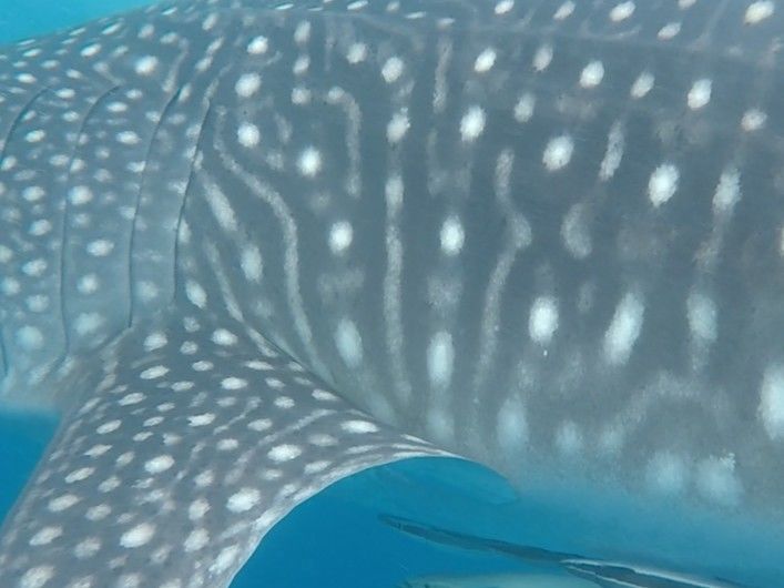 15db62cf-c496-4b23-9ae9-de29f35efc23