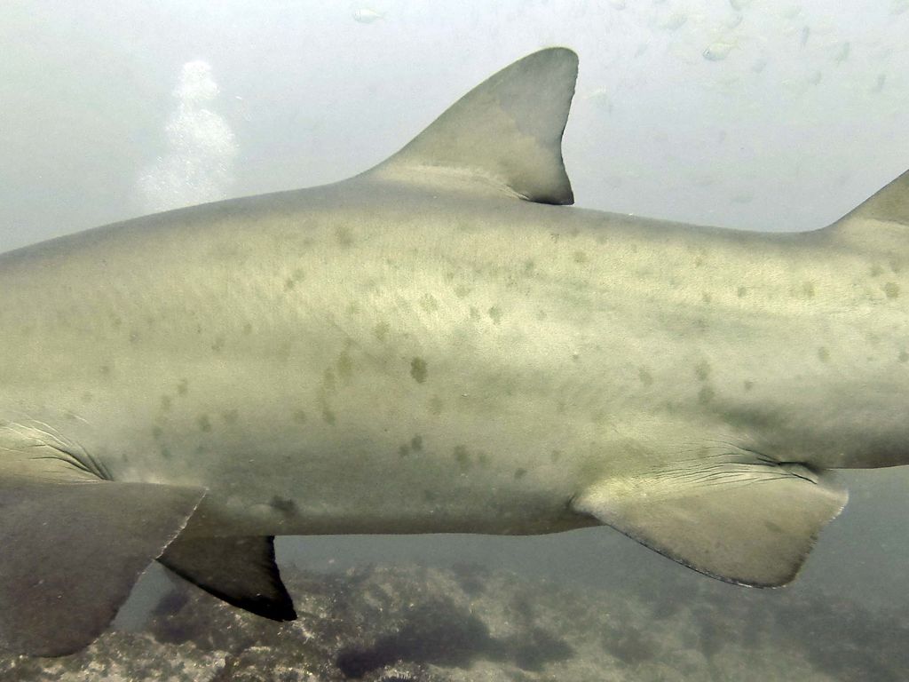 039628a9-8fdd-4532-982a-b4b28242bada