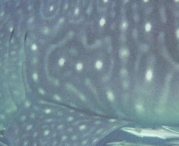 aa8686ab-b205-41c8-b3c2-b72419ad4d7f