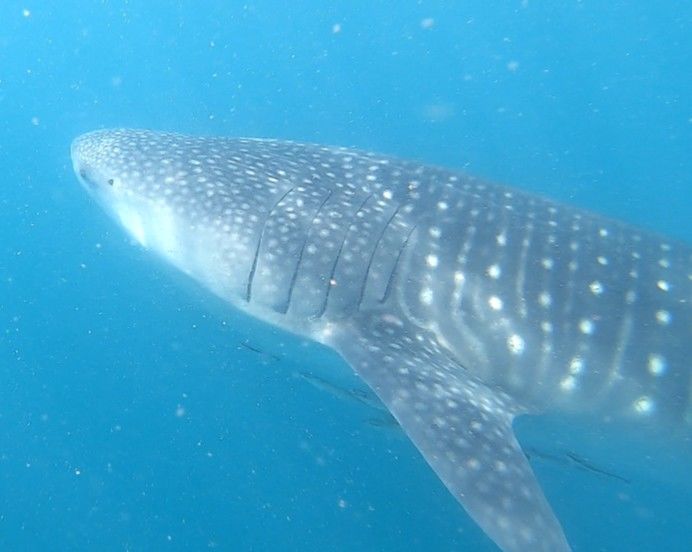 5cc20e7a-8b68-43f3-ab1c-8417579afd5b