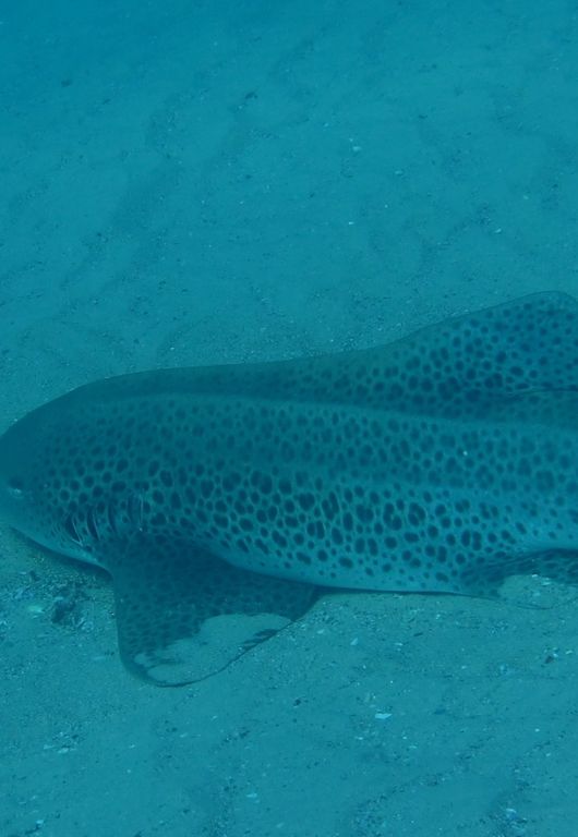 930933b8-fb45-43f9-ba1d-f99220bd9839