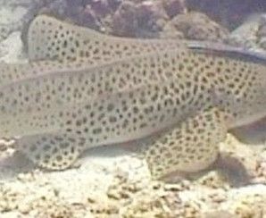 b3a5556b-e2ab-4b45-bae5-42b715ba93c1