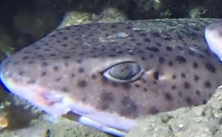 248fcec3-14d2-43b7-b909-407cb3dda696