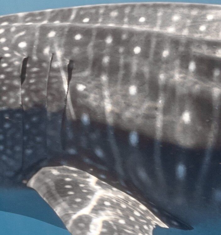 23d54b86-be37-4af0-a985-64dc9f86f64e