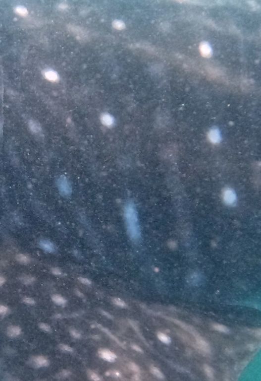 db50269e-1cb2-4c77-aedf-6f715ac376f9