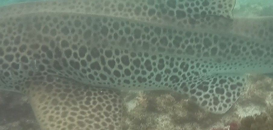 da2a135e-c0a6-4927-a931-50d3dc37df24