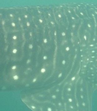 1aba3b82-b298-45b0-bf98-a54330e3c643