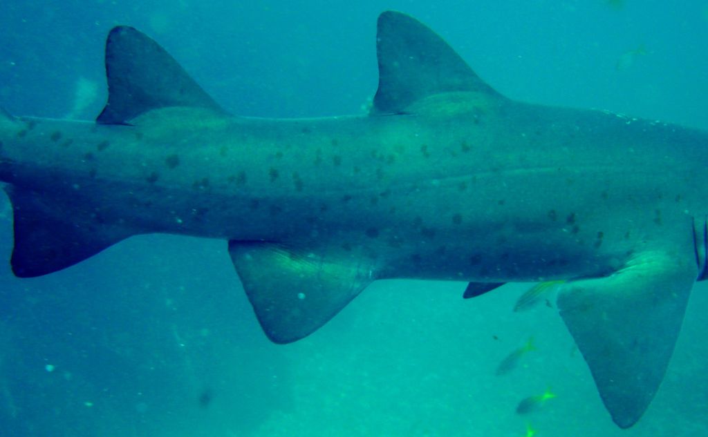 10611dd1-978c-43c9-b373-3aecaca9e822