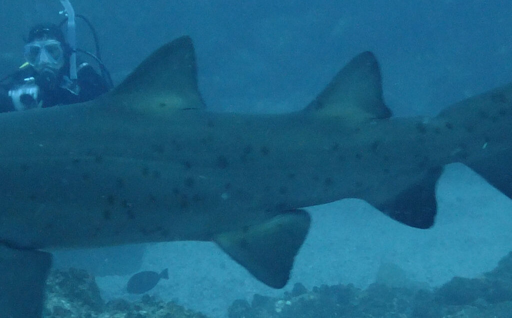 f4559adb-7ba8-4c9b-8296-ccbbb9b0fb27