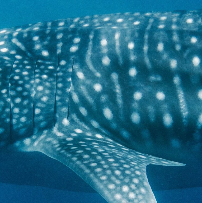 9ccedf89-67a2-48b3-b147-a8629116869b