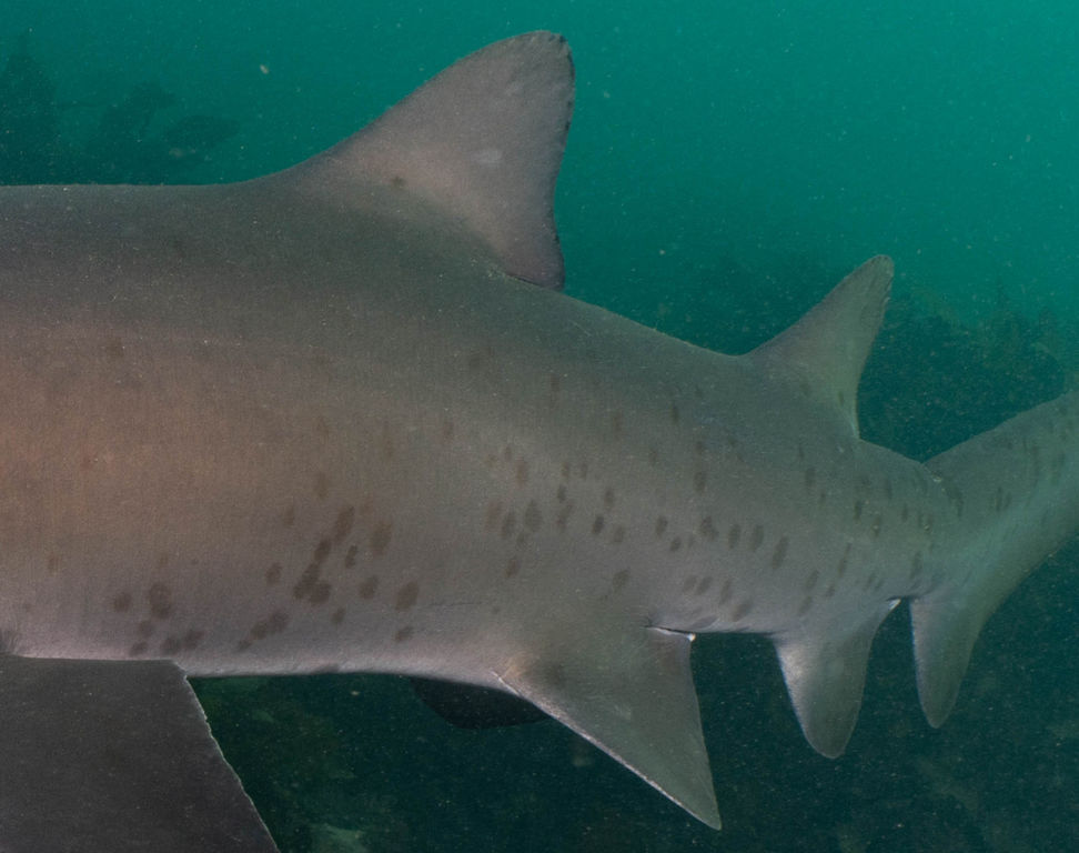 3040e655-d9bc-4655-abc0-5a61c5508e1d