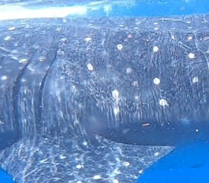 3e20d6a3-7430-456b-85fb-c3999153a473