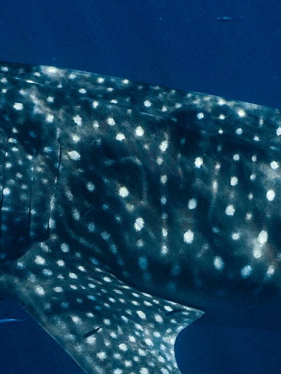 10814f12-a6b6-4115-845f-2a6564465cea