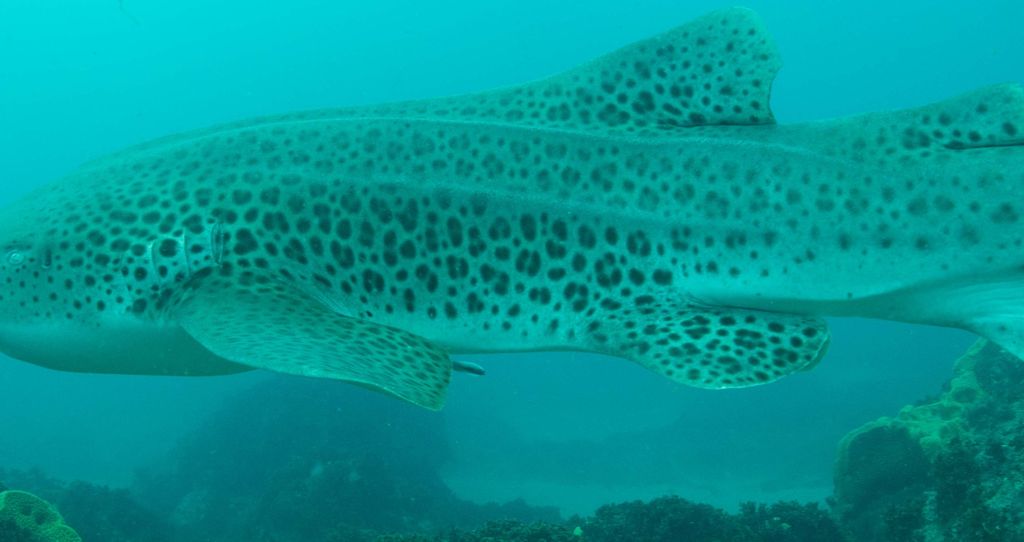 aed0a235-f7b4-48f1-85ee-11bbc3ea6c73