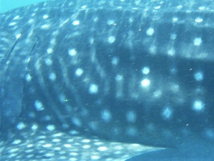 c57cda8f-9a94-4b24-b03a-4e1c16a224d9