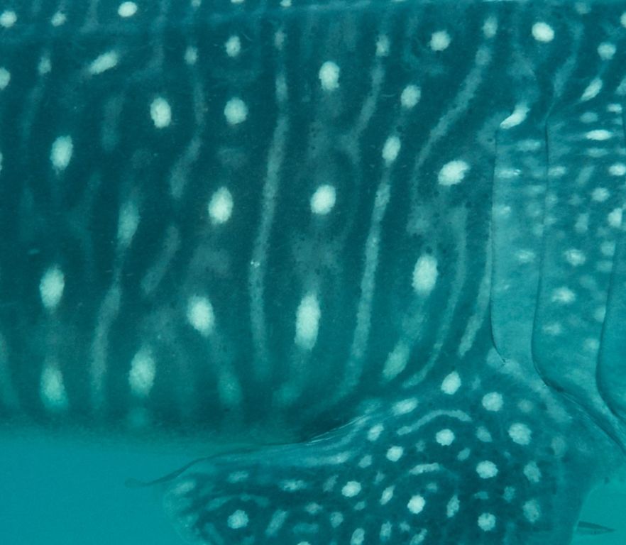 91dc0676-5d89-40a1-9578-a981c2b145ca