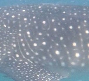 54c65c74-d812-49f1-89e1-73c59ab72144