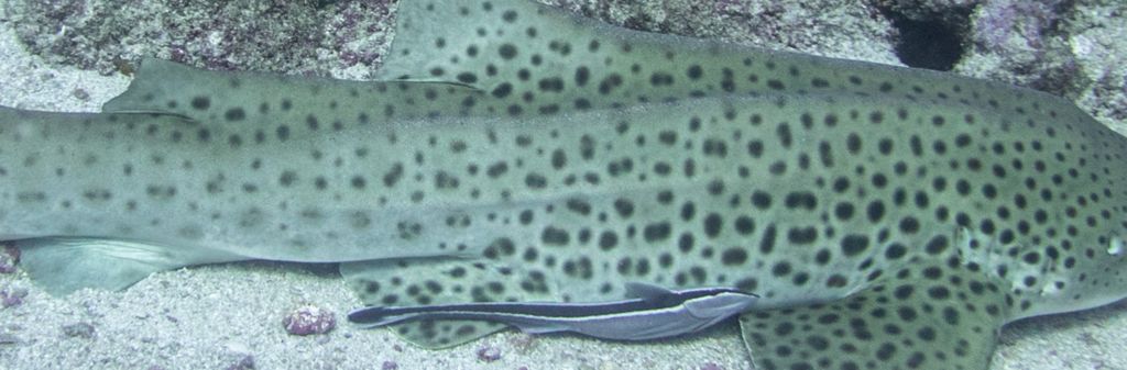 9a7f1c23-76ae-461a-a5fc-0e4d64c42845