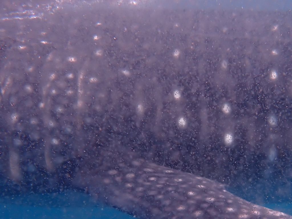 1926ae41-9752-48cf-adf8-40b143d0f14a