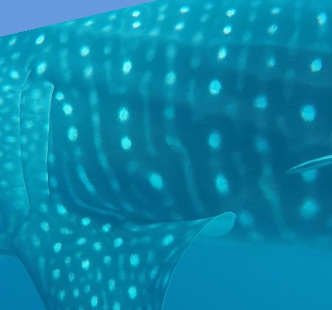 840c0ea7-3f66-49f9-9492-66cf978109e2