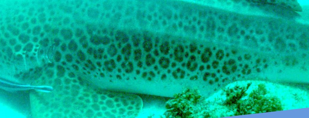 c588fae2-116d-48b6-92af-6e25e6bb8c16