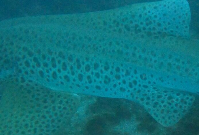 137f606e-4b5f-486a-bd64-57c123569d95