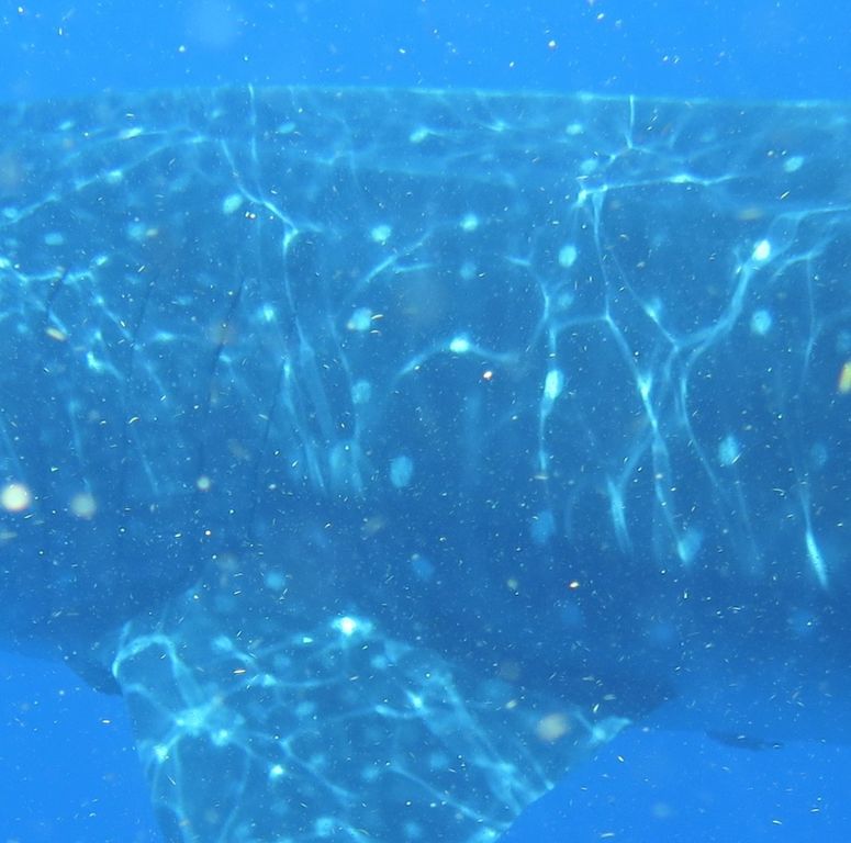 94b8b6eb-11b4-4ac8-9edb-39b79a769631