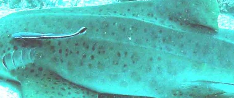 c81b33ea-6624-40f1-8f3f-bdb297cdc88c