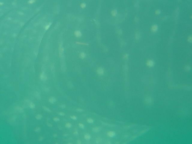 335a7507-4581-434d-b31e-e4a995f74e84