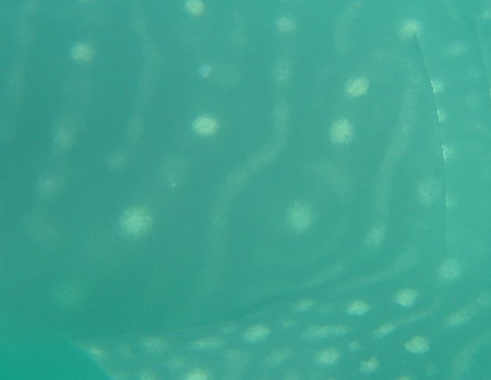 335a7507-4581-434d-b31e-e4a995f74e84