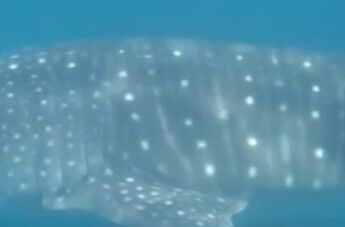 0ab7883d-b698-4e44-a1f1-89bc775a5e34