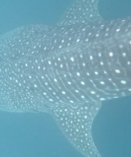 985b0db7-41b8-4357-8800-58fc1ddd4c5b