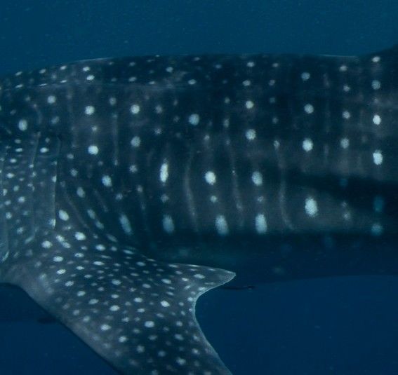 2e5b8a54-a14e-47ce-b871-39d01a63f33b