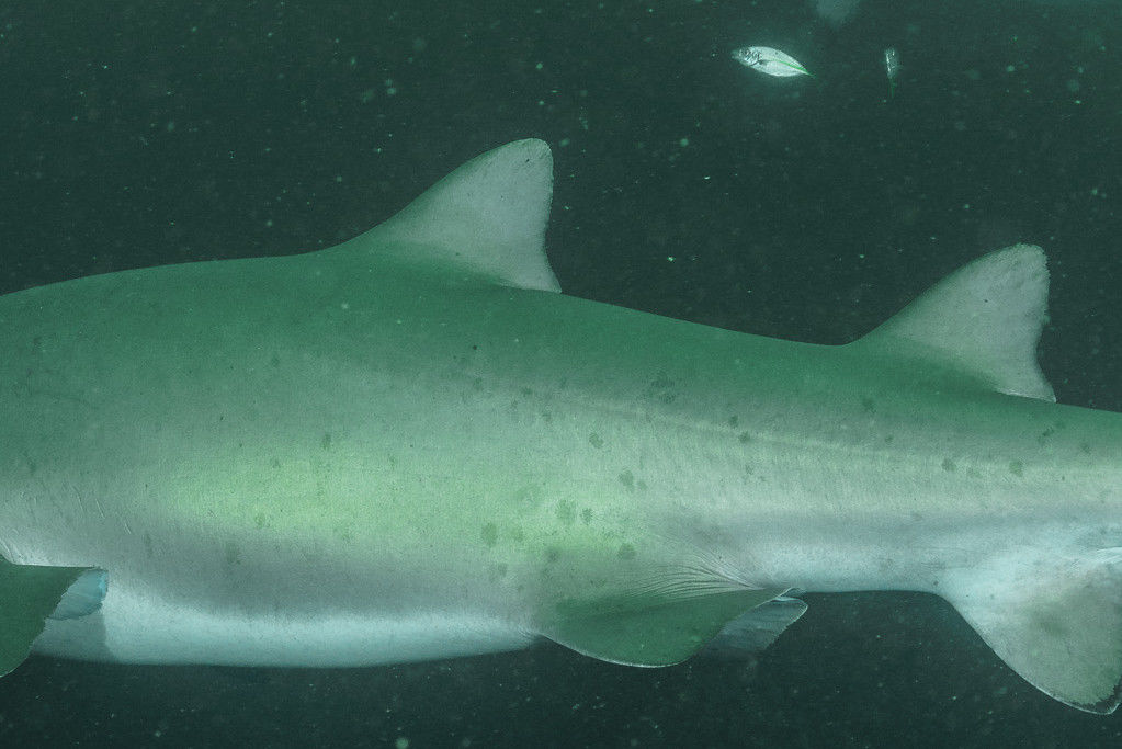 986ea6ba-72e0-4dc5-bda9-4567c5a47fba