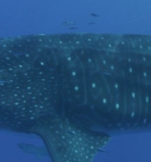 cb5ecafc-7896-44f3-a3c1-3a0510d49cfb