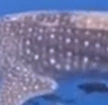 9406f2cc-2af7-4ffb-bbed-1934a2f4233d