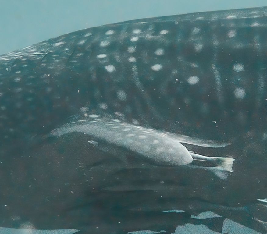 a41ec30d-76a3-4640-914e-dfadc835d4f0