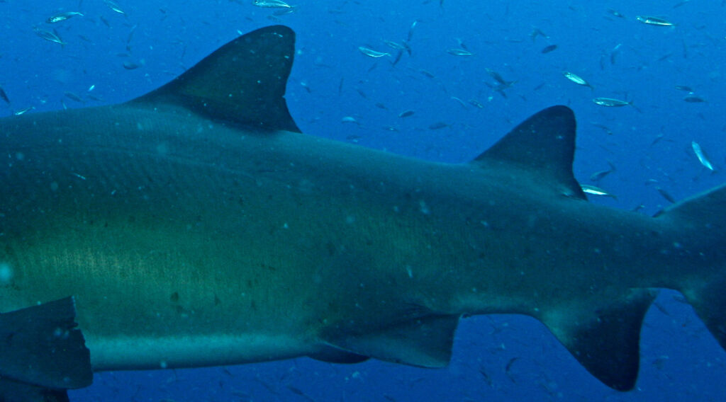 d73111c0-bb11-4b60-bcf8-eb7d65199dbb