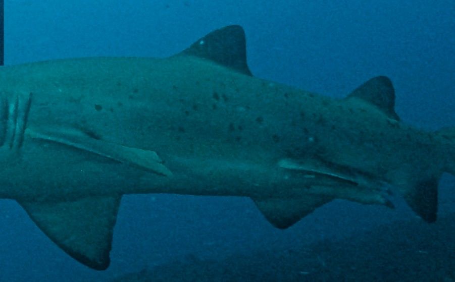 fd731e9d-631c-444a-8d54-1ce90245029e