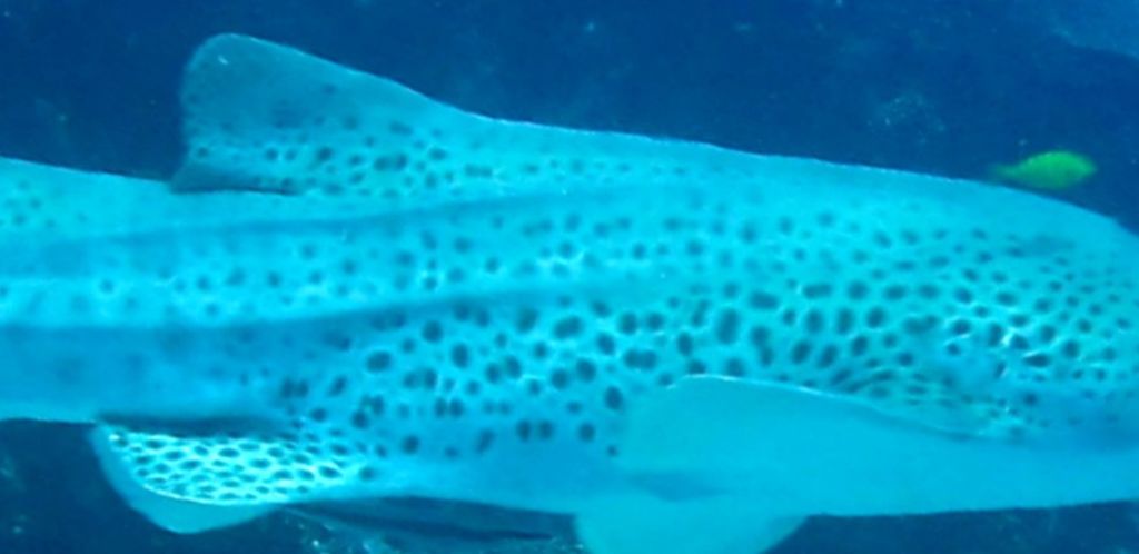 6ea7952e-b232-4ffa-834c-721d8beaad82