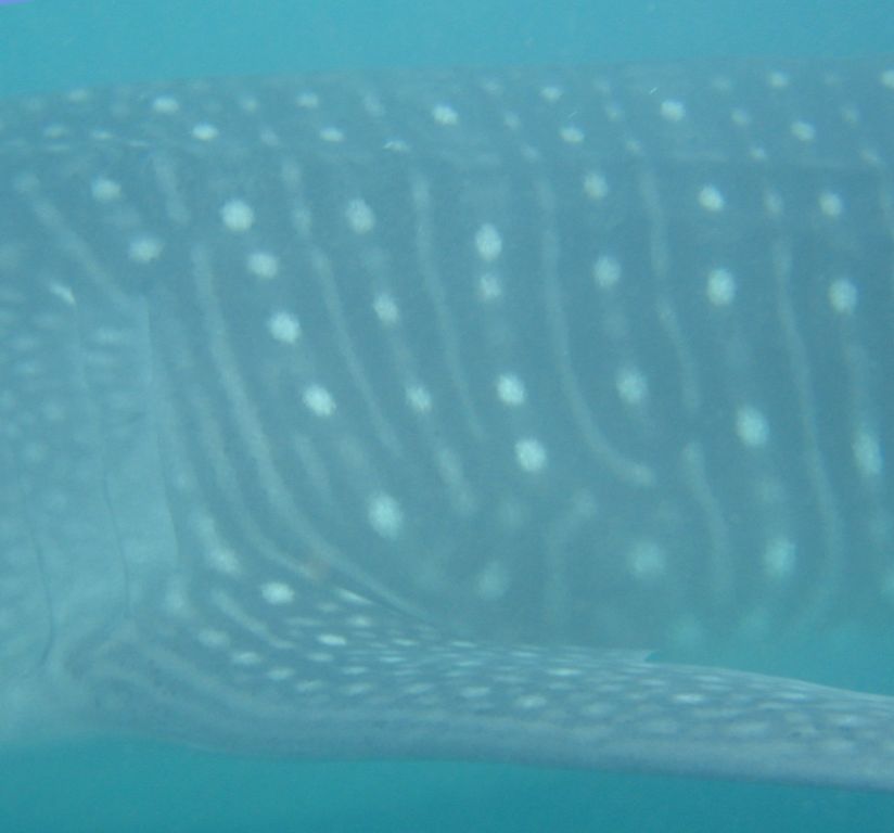 8a78923d-6b0c-48e1-9d1f-f6bf805d686b