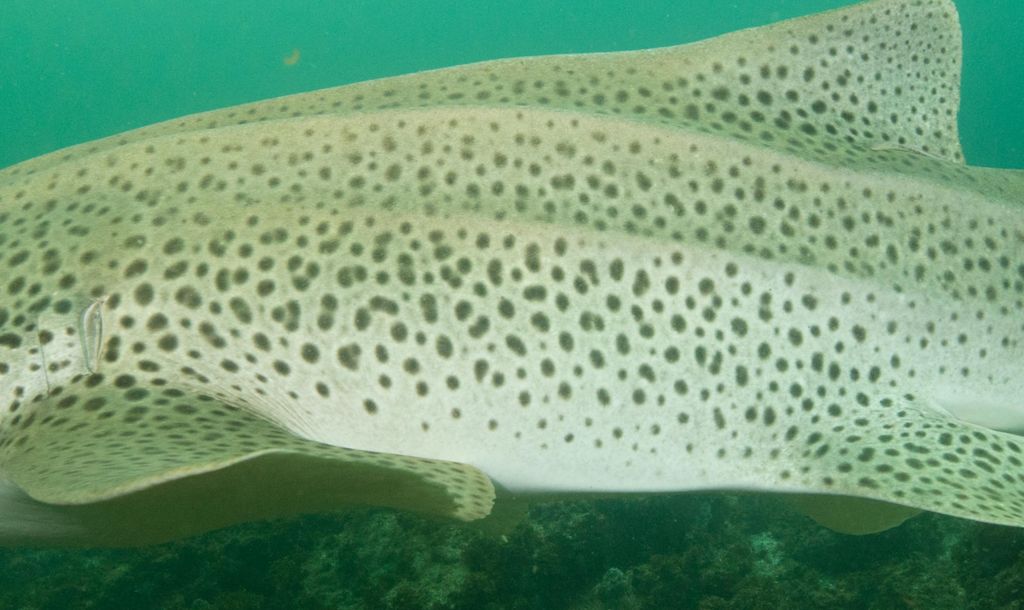 73d6acec-d1fd-4c93-b6b9-253c0740af28