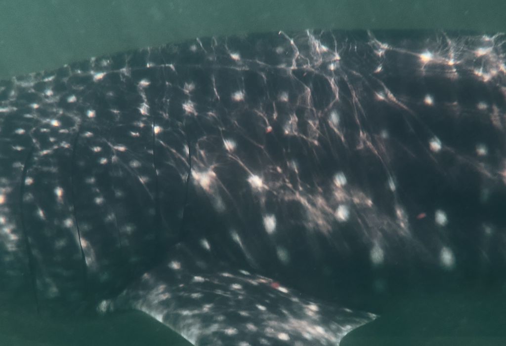 aa78dca7-0da0-4e4b-b166-7379fda81efb