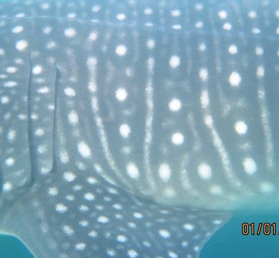 c80eaafa-7d63-4397-812a-b24f5ea5a693