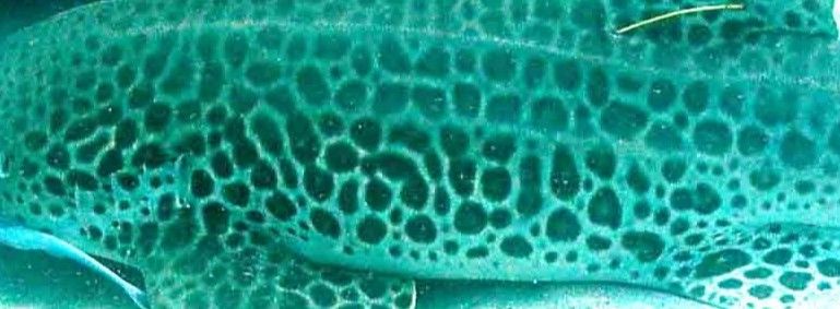 6aaf3901-bd04-4cf9-a606-86e2001a74f7