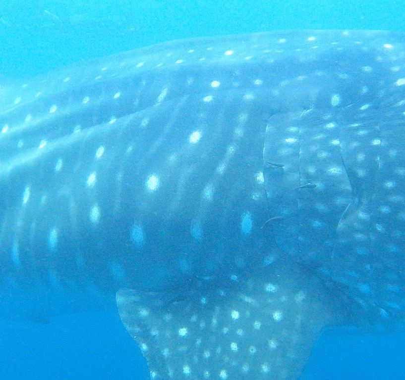 74e8dd16-2766-4571-bff0-6c7614a556f3